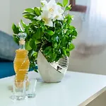 بيت ضيافة & Mara & Petrunjela 4*