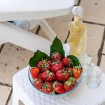 & Mara & Petrunjela 4* Cavtat