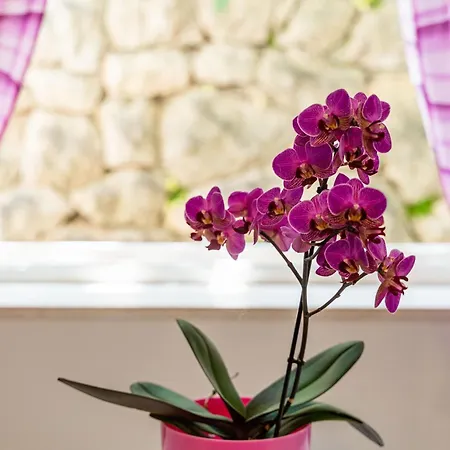 & Mara & Petrunjela Gasthof 3*